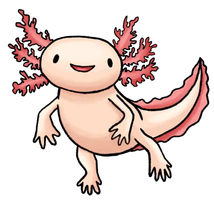 Axolotl