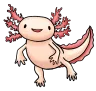 Axolotl