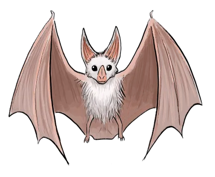 Ghost Bat