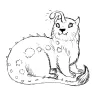 Lantern Otter