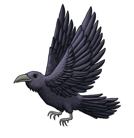 Raven