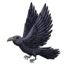 Raven