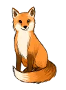 Red Fox