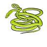 Vine Snake