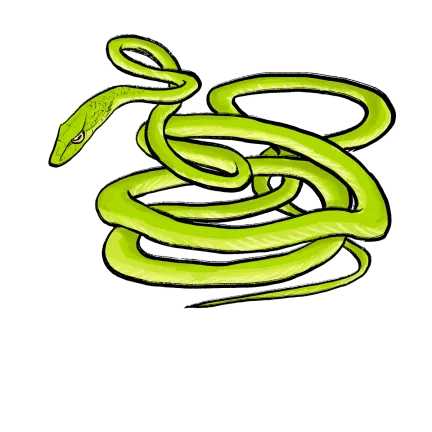 Vine Snake